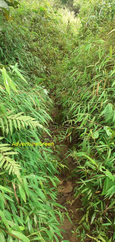 A rocky path near the base of Mount Pu Luong A rocky path near the base of Mount Pu Luong
