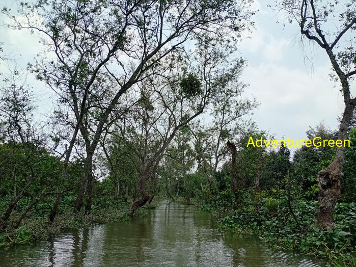 Travel guide to Tien Giang, Vietnam Travel guide to Tien Giang, Vietnam