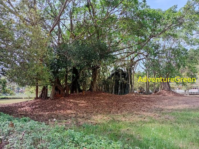 Travel guide to Tuyen Quang, Vietnam Travel guide to Tuyen Quang, Vietnam