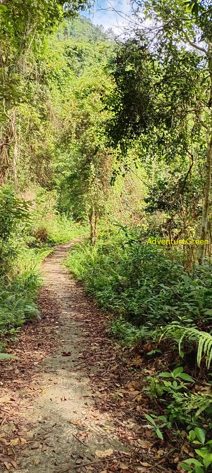 Tam Dao National Park Tour