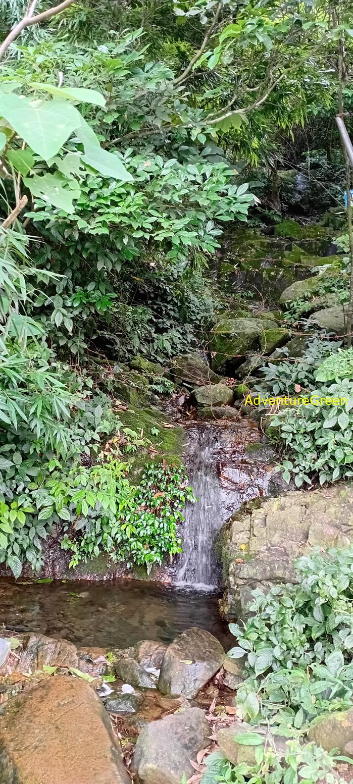 Tam Dao National Park Tour