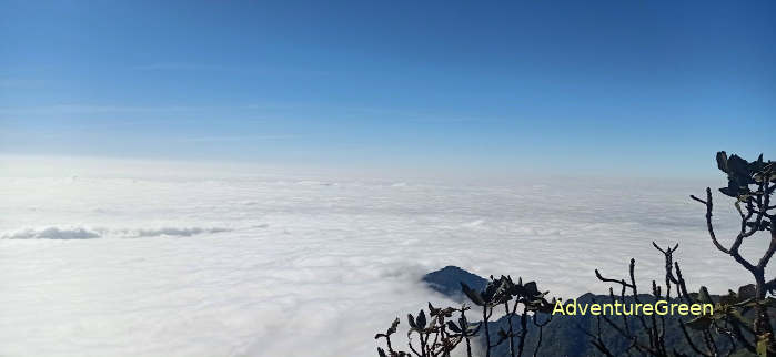A lovely ocean of white clouds at the summit of Mount Lung Cung Yen Bai