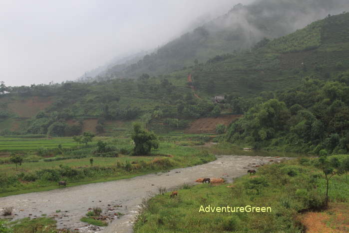 Landscape gets more sublime as soon as we get into Yen Bai Province