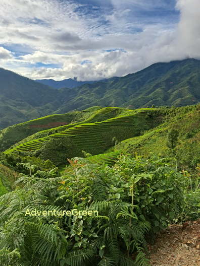 Captivating nature on the trek to Mount Lung Cung in Mu Cang Chai Vietnam