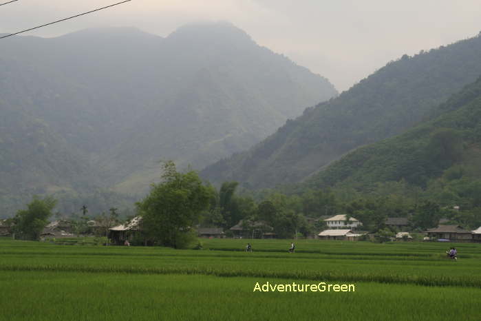 Thai villages in the Muong Lo Valley, Nghia Lo, Yen Bai