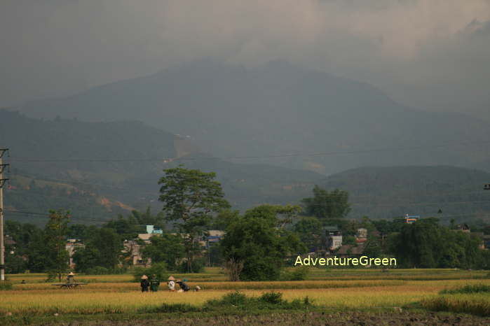 Thai Villages in the Muong Lo Valley, Nghia Lo, Yen Bai Province