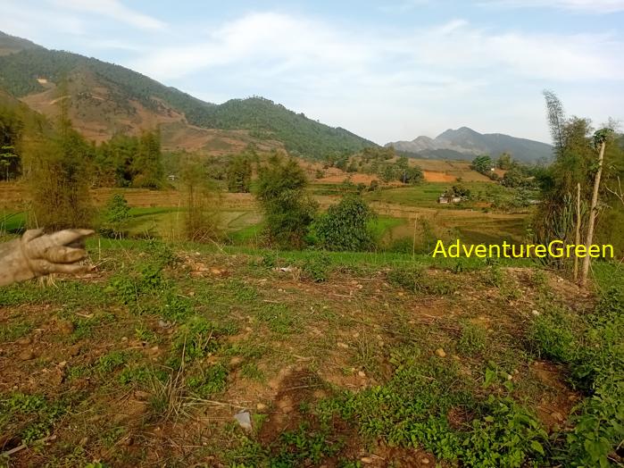 Travel guide to Tu Le Valley, Yen Bai, Vietnam Travel guide to Tu Le Valley, Yen Bai, Vietnam