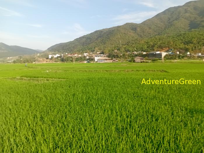 Travel guide to Tu Le Valley, Yen Bai, Vietnam Travel guide to Tu Le Valley, Yen Bai, Vietnam
