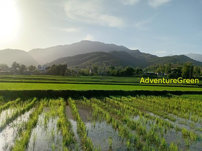 Travel guide to Tu Le Valley, Yen Bai, Vietnam Travel guide to Tu Le Valley, Yen Bai, Vietnam