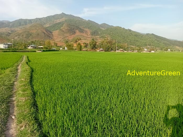 Travel guide to Tu Le Valley, Yen Bai, Vietnam Travel guide to Tu Le Valley, Yen Bai, Vietnam